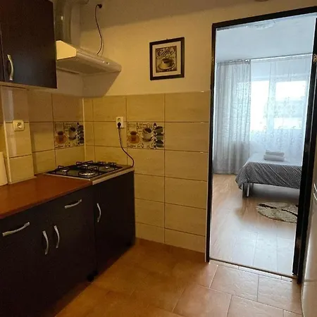 Apartment Mountain View Brasov
